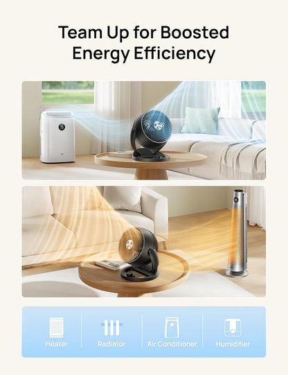 Ultra-Quiet Whole Room Air Circulator